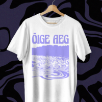 Haldi & ans Flamingo T-shirt - Image 3
