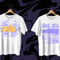 Haldi & ans Flamingo T-shirt - Image 2