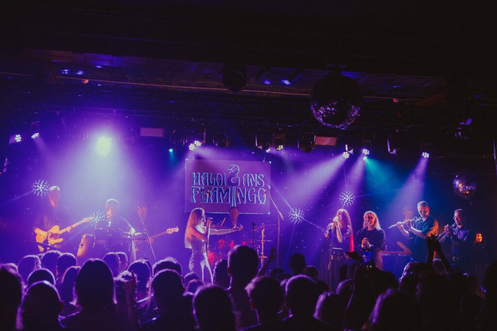 Haldi&ansFlamingo_130924_ph;AkoLehemets_49